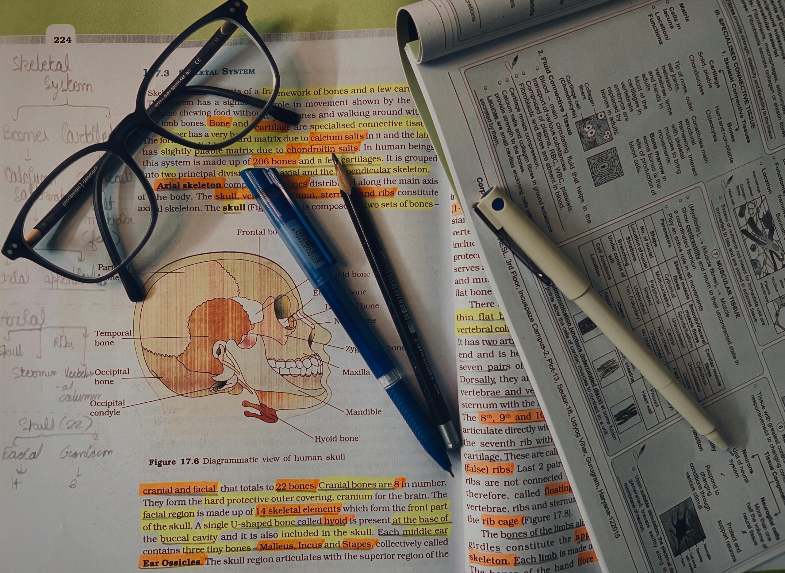 Study materials of the nervous system and body